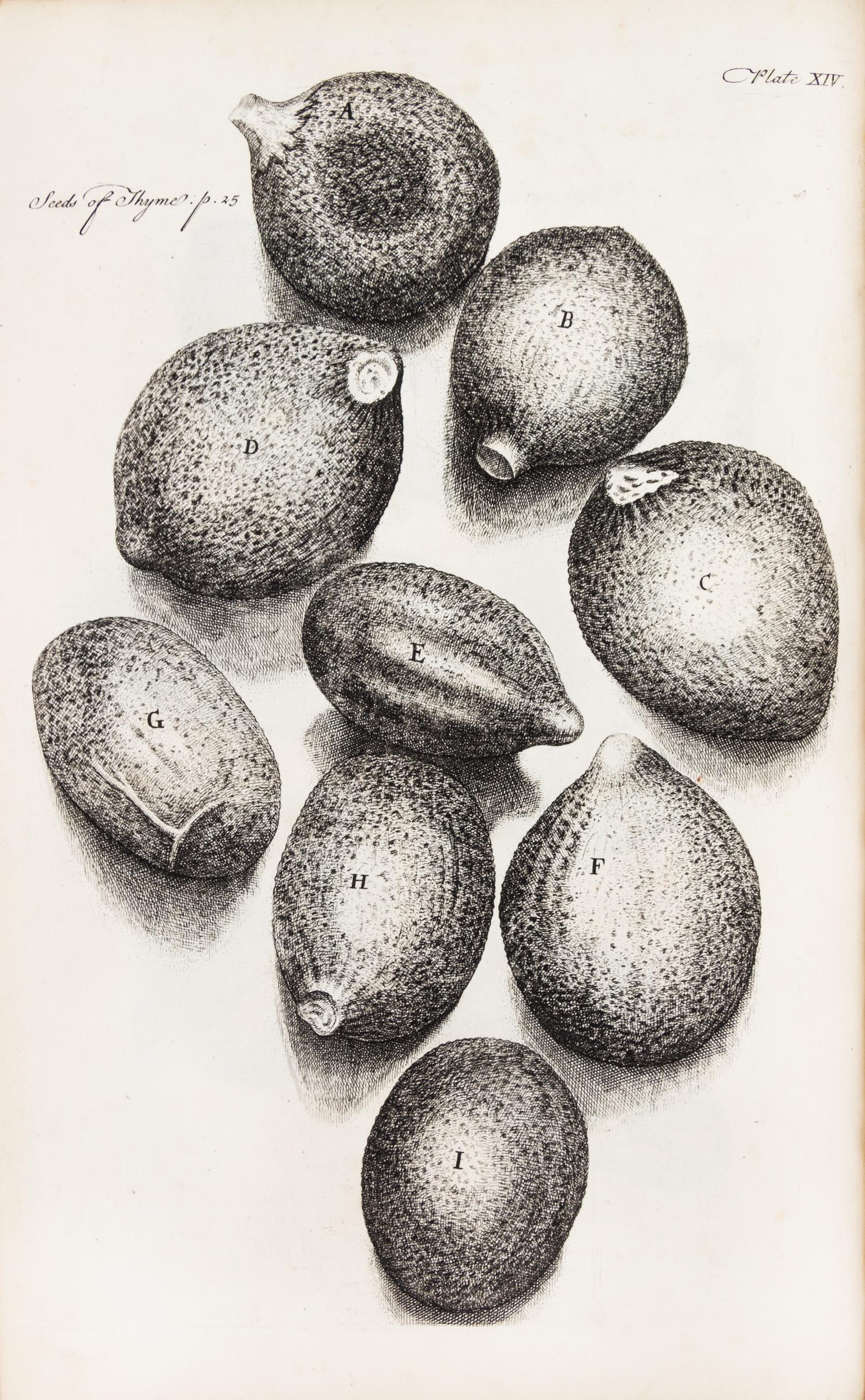 HOOKE, ROBERT. Micrographia Restaurata... London, 1745. Second edition, complete.