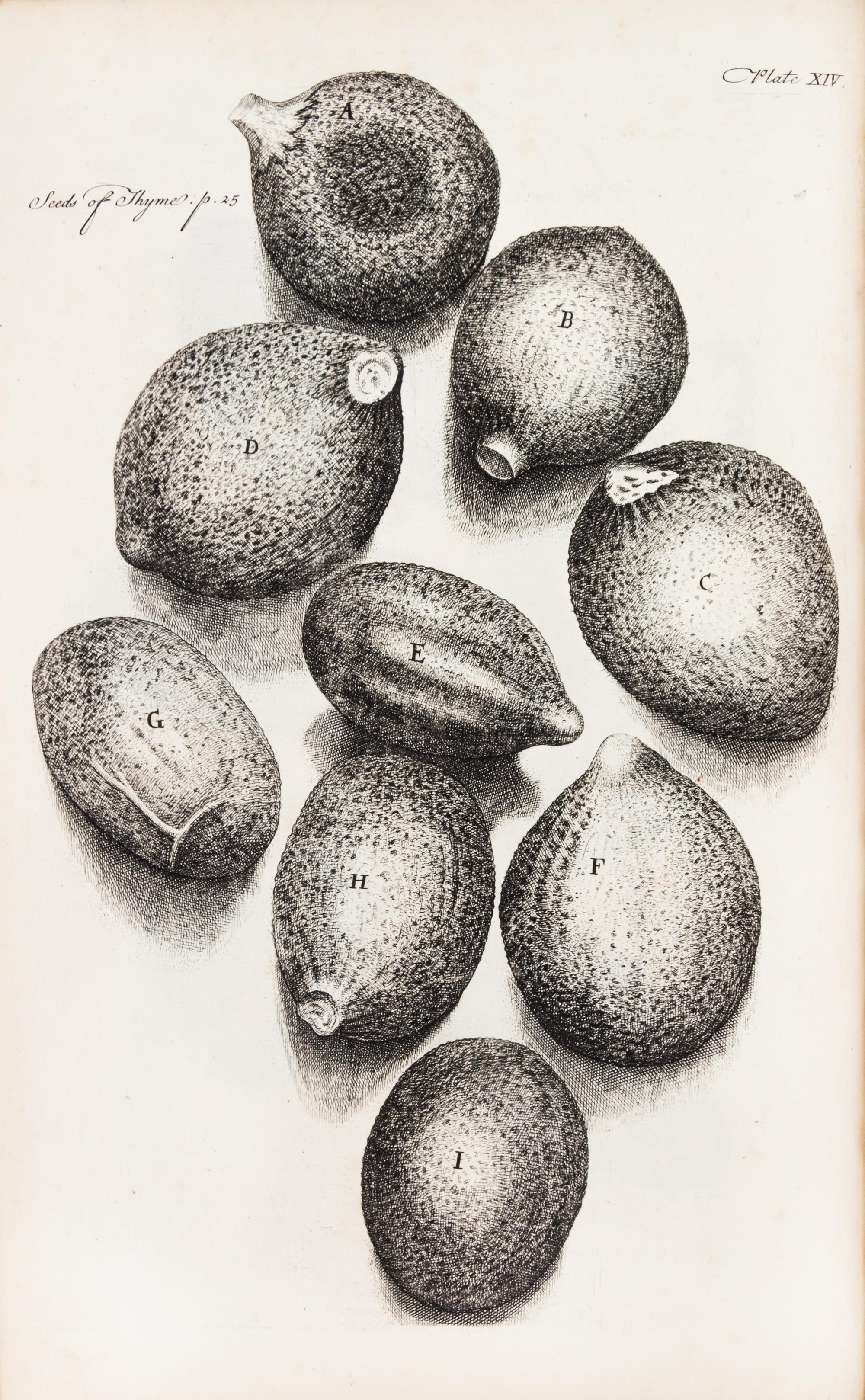 HOOKE, ROBERT. Micrographia Restaurata... London, 1745. Second edition, complete.