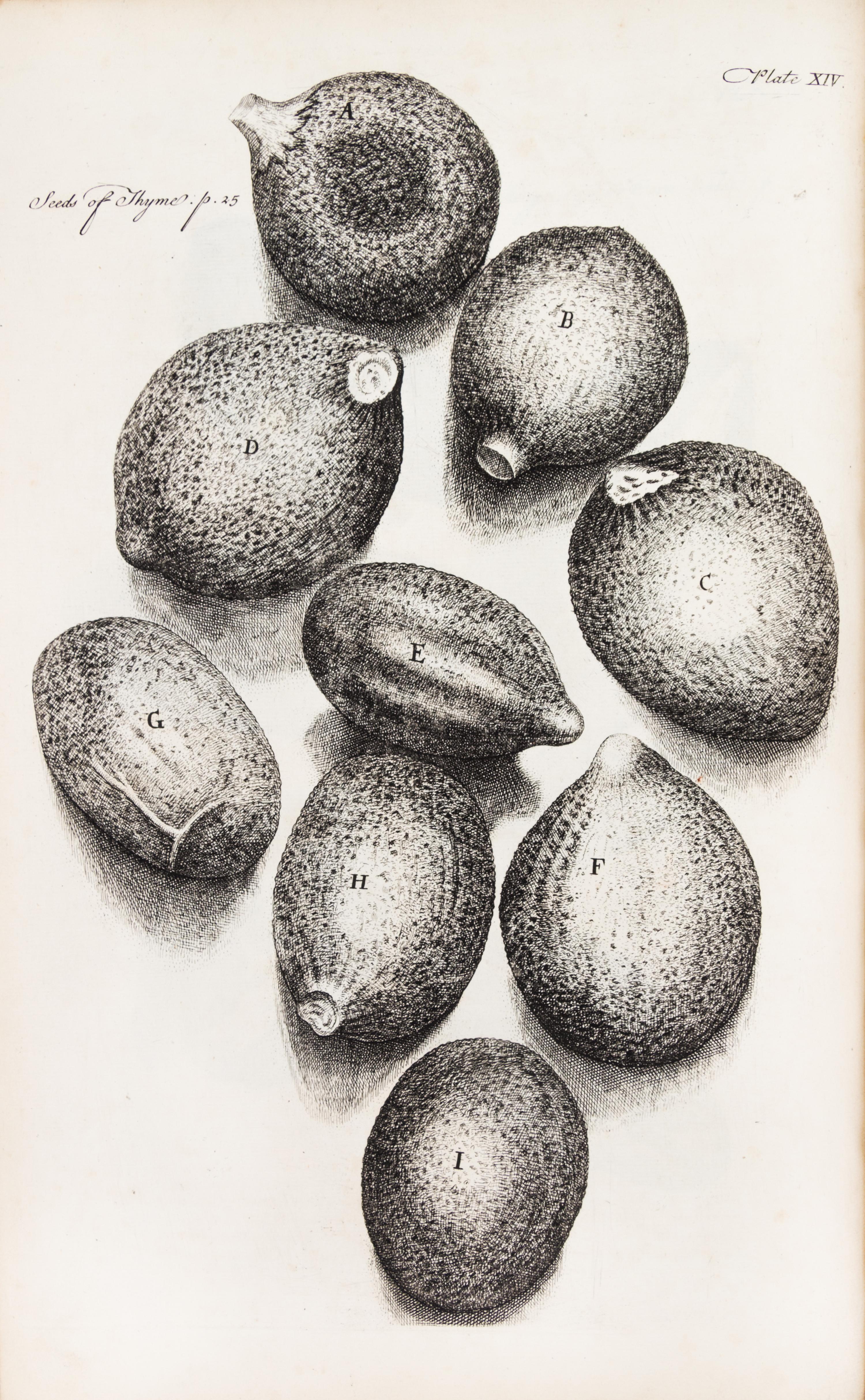 HOOKE, ROBERT. Micrographia Restaurata... London, 1745. Second edition, complete.