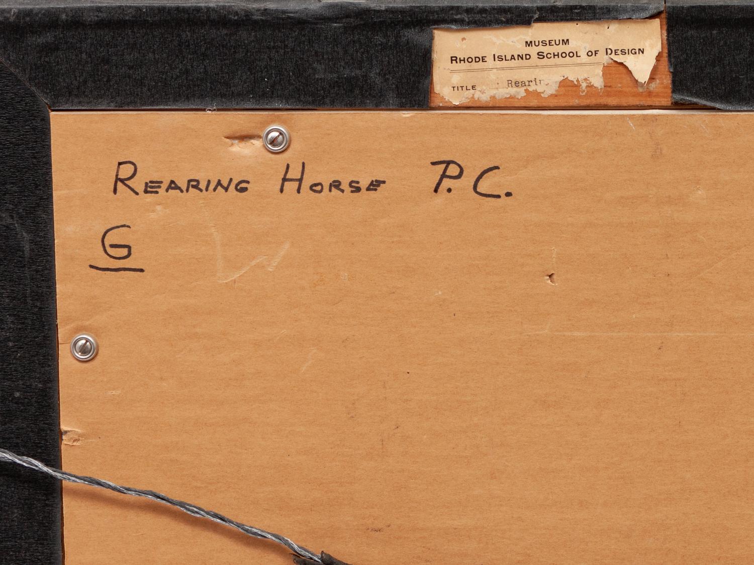 Rearing Horse, Cheltenham, England , circa 1934-35