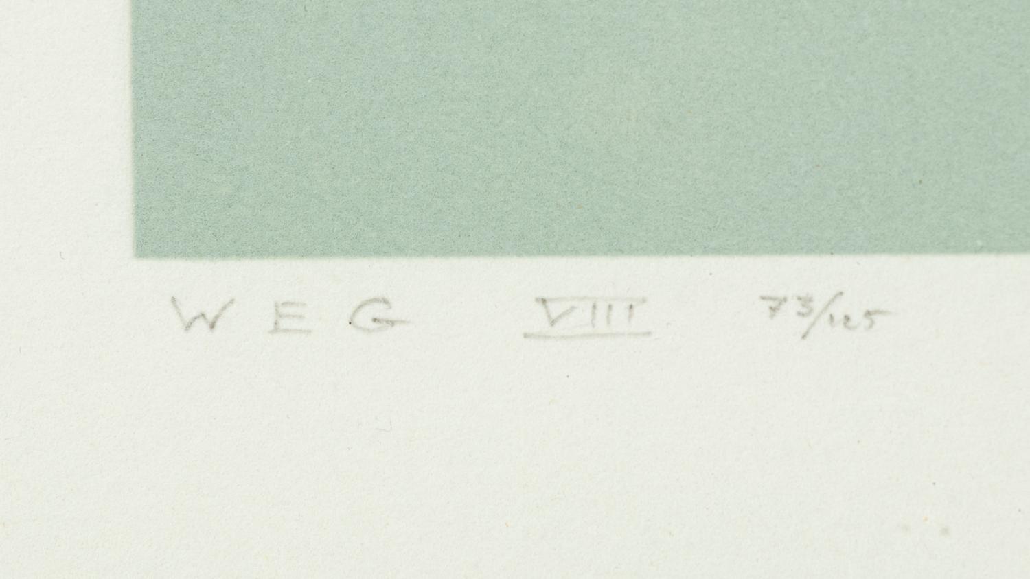 White Embossing on Gray: I-X (complete series)