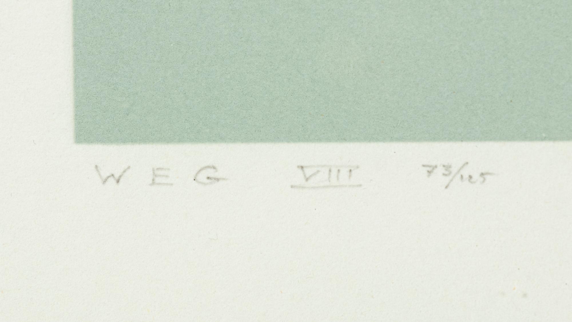White Embossing on Gray: I-X (complete series)