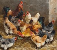 Chickens in a Coop