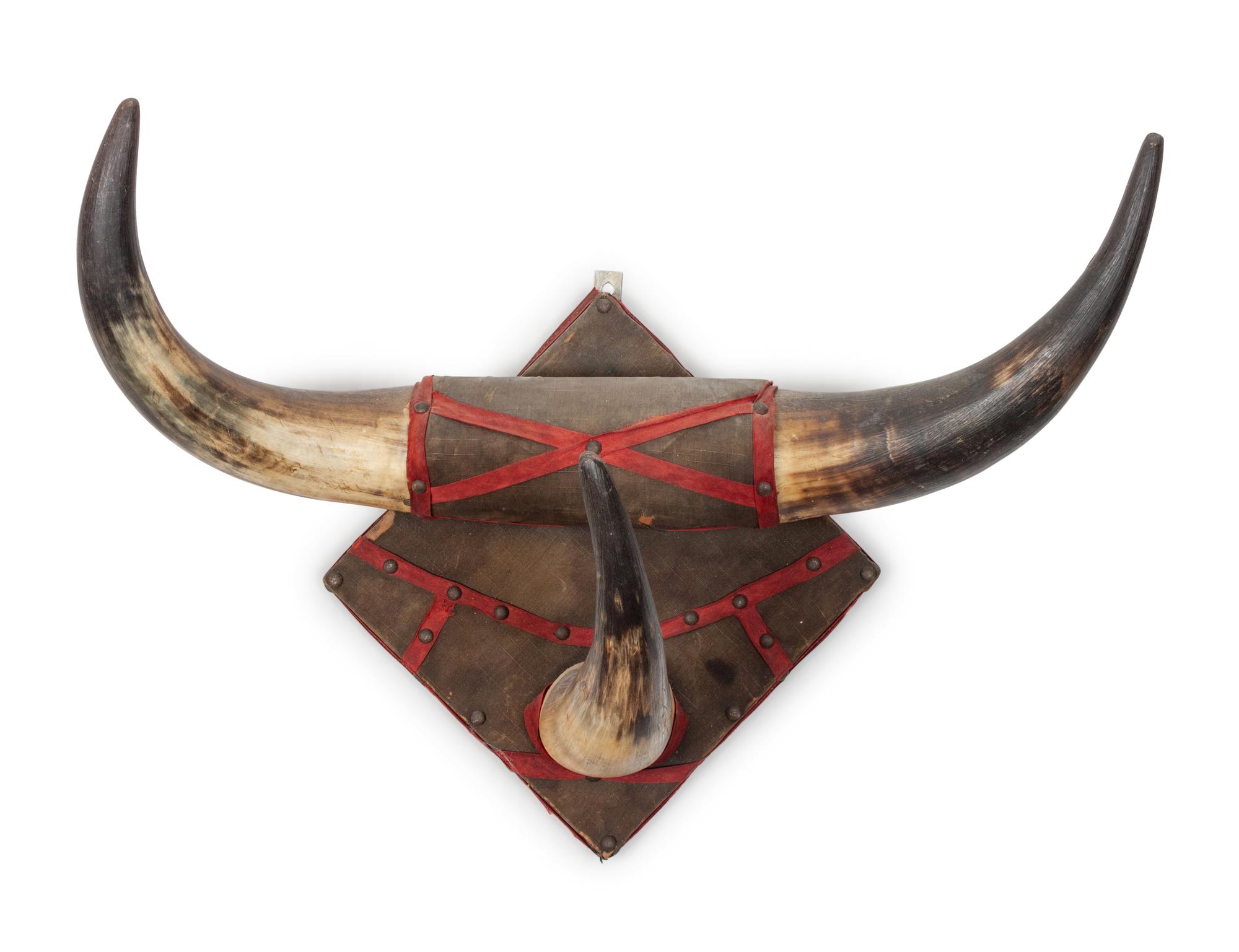 Four Decorative Longhorn Mounts