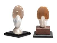 Two Carved Nautilus Shells