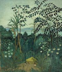 La case dans la forêt vierge