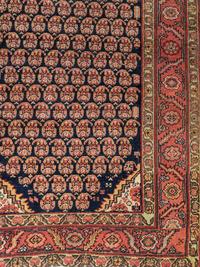 A Persian Wool Runner
