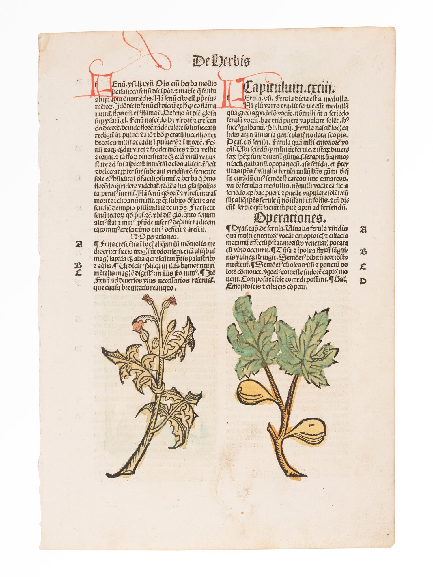 [HERBAL] -- [ Hortus sanitatis. De herbis et plantis... ] [Strassburg: Johann Prüss, ca 1497?].