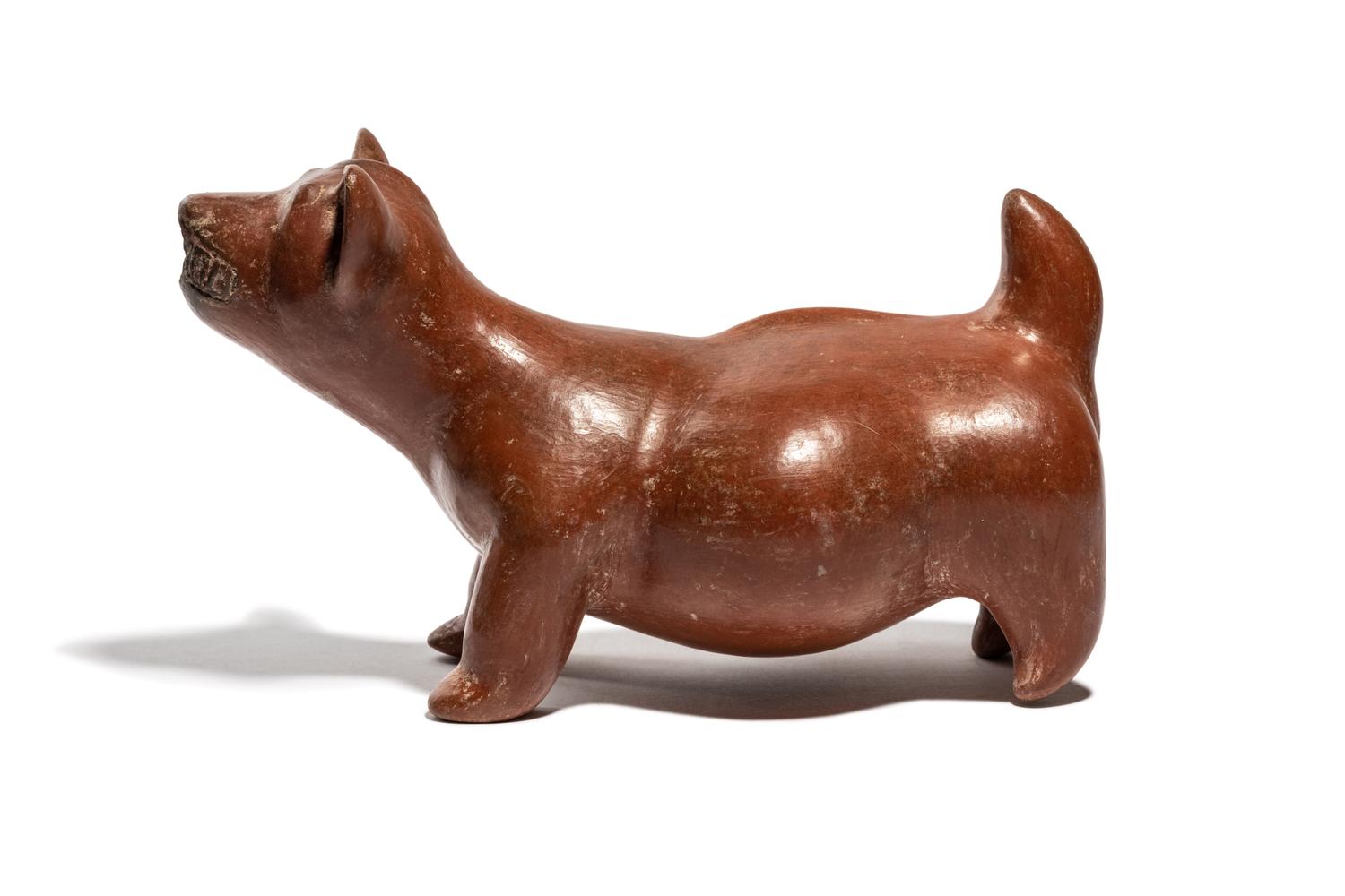 A Colima Dog Effigy Vessel