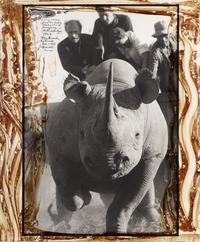 Peter Beard (1938-2020) Roping Rhinos from the Hunting Blocks 28 + 29, 1965