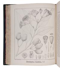 [NATURAL HISTORY]. MUELLER, Ferdinand von (1825-1896). Eucalyptographia. A descriptive atlas of the eucalypts of Australia and the adjoining islands... Decades I-X. Melbourne: John Ferres, 1879-84.