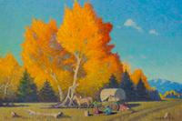 Cottonwood Trees , 1960