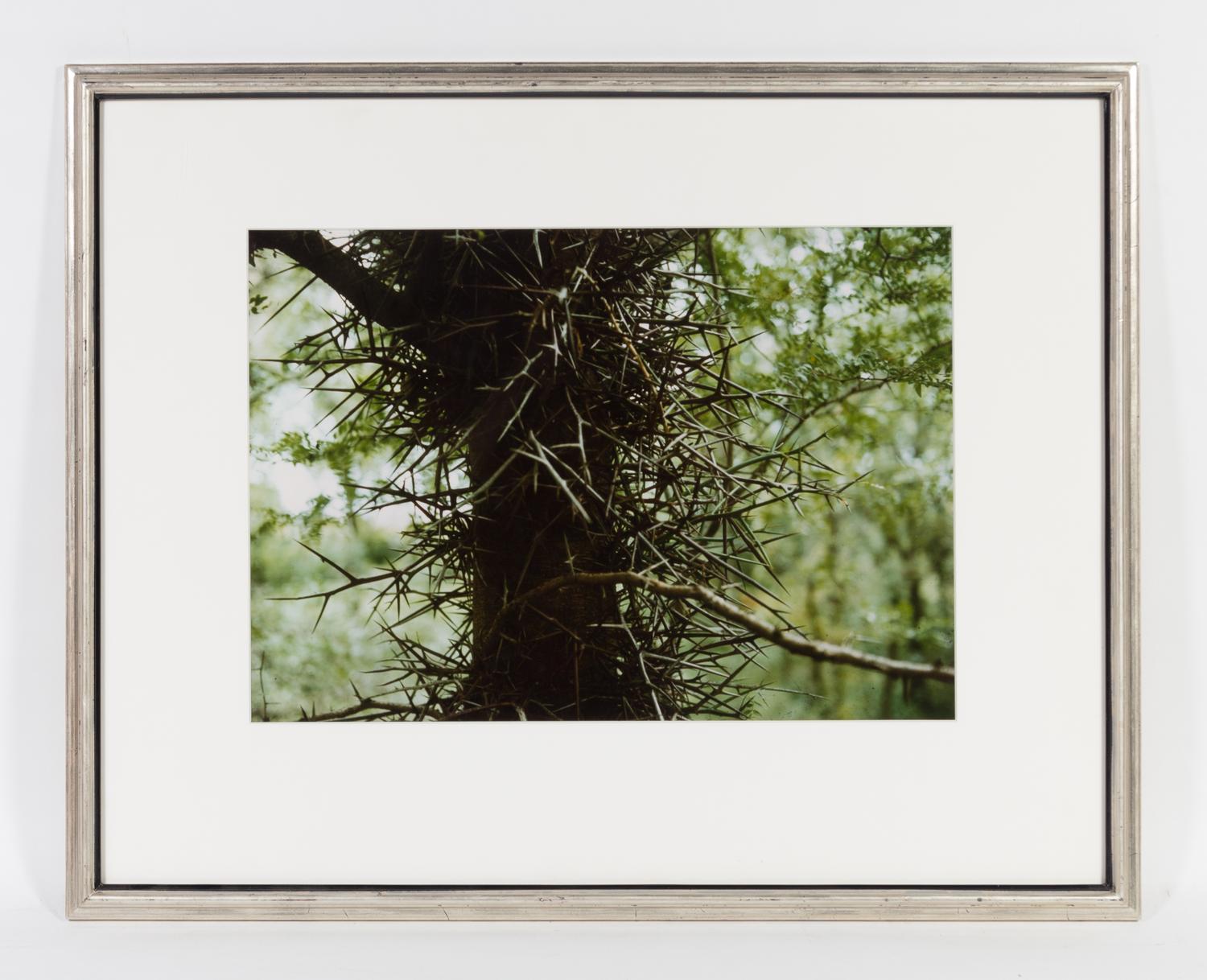 John Schulze, (American, 1915-1990), Crystal Mask, Gengi Tree and Northwest Coast (3 works)