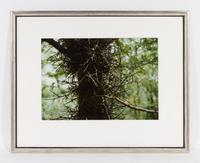 John Schulze, (American, 1915-1990), Crystal Mask, Gengi Tree and Northwest Coast (3 works)
