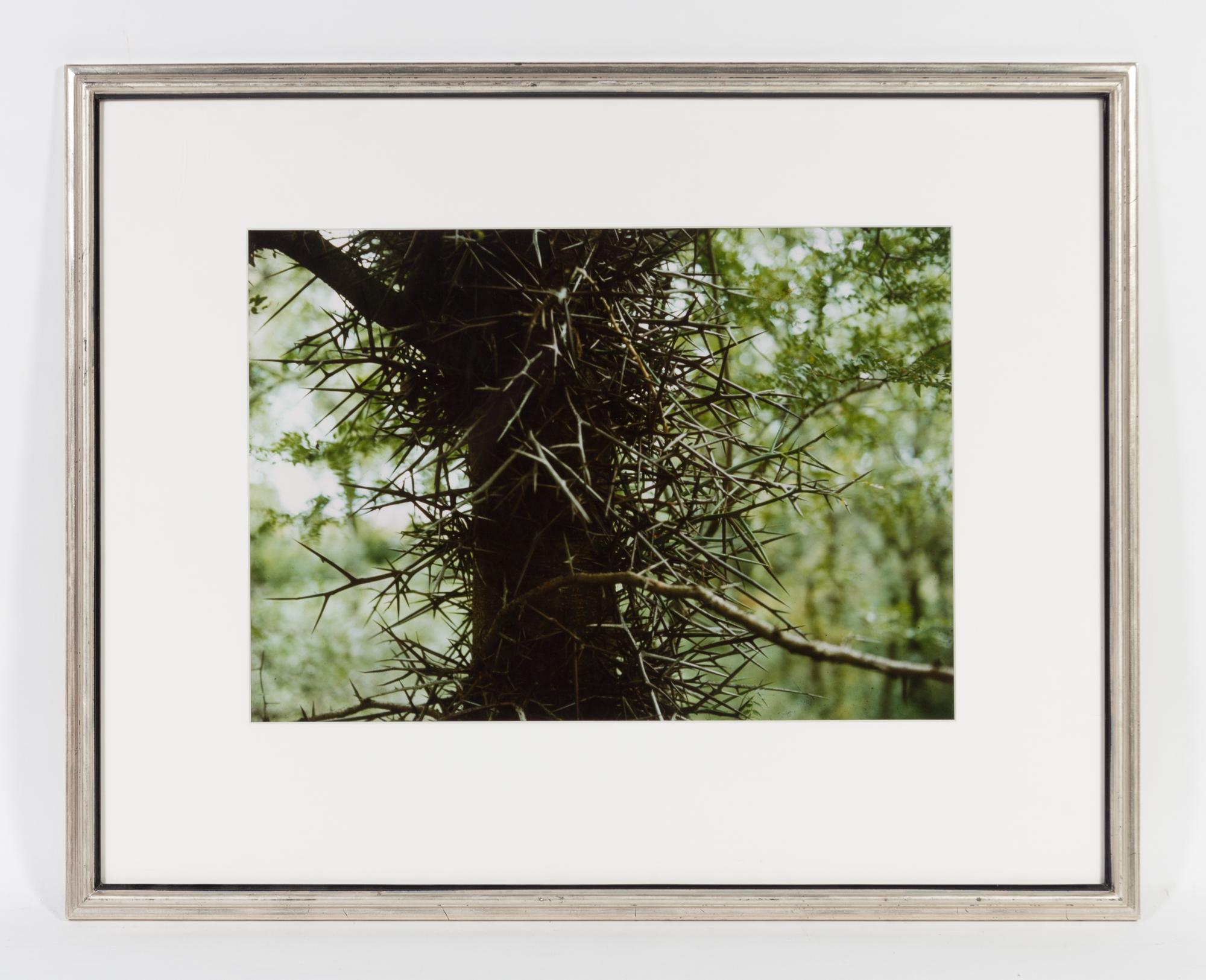 John Schulze, (American, 1915-1990), Crystal Mask, Gengi Tree and Northwest Coast (3 works)