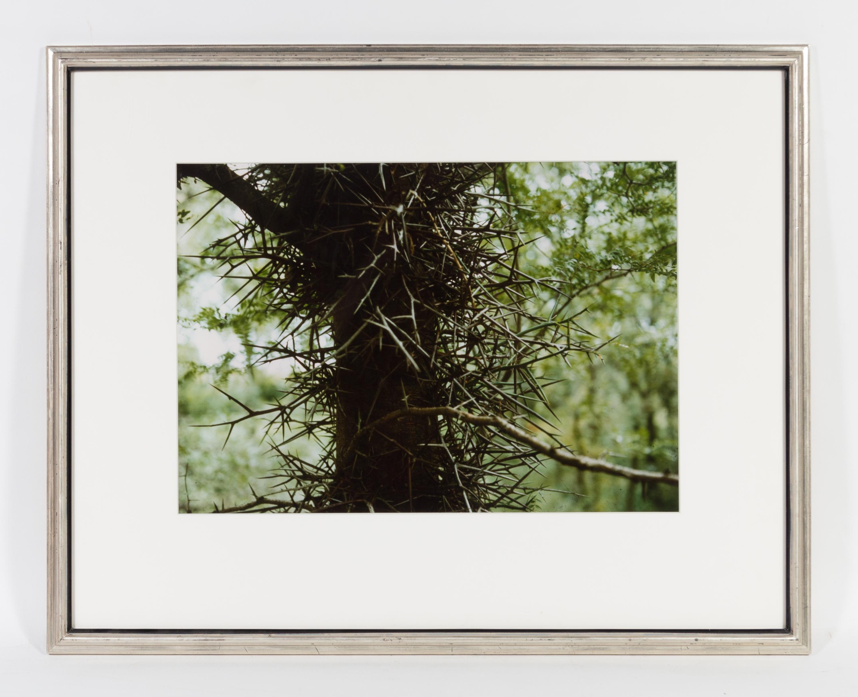 John Schulze, (American, 1915-1990), Crystal Mask, Gengi Tree and Northwest Coast (3 works)