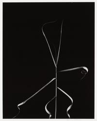 Harry Callahan, (American, 1912-1999), Aix en Provence