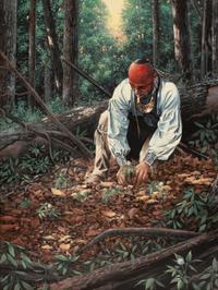 Ginseng Medicine