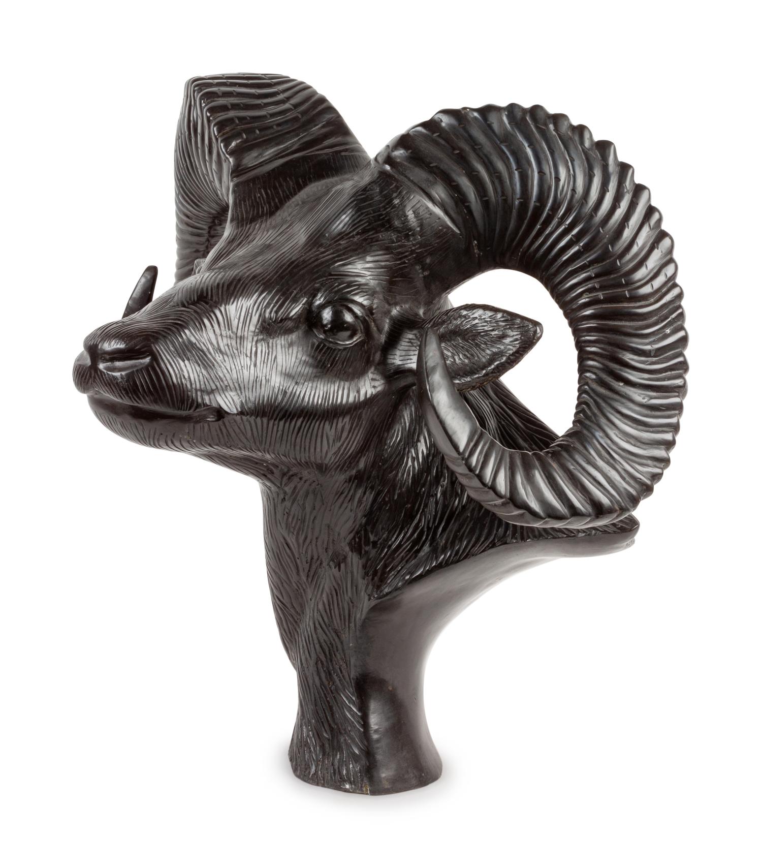 Bighorn Sheep