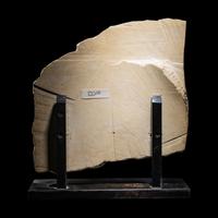 An Egyptian Limestone Relief Fragment