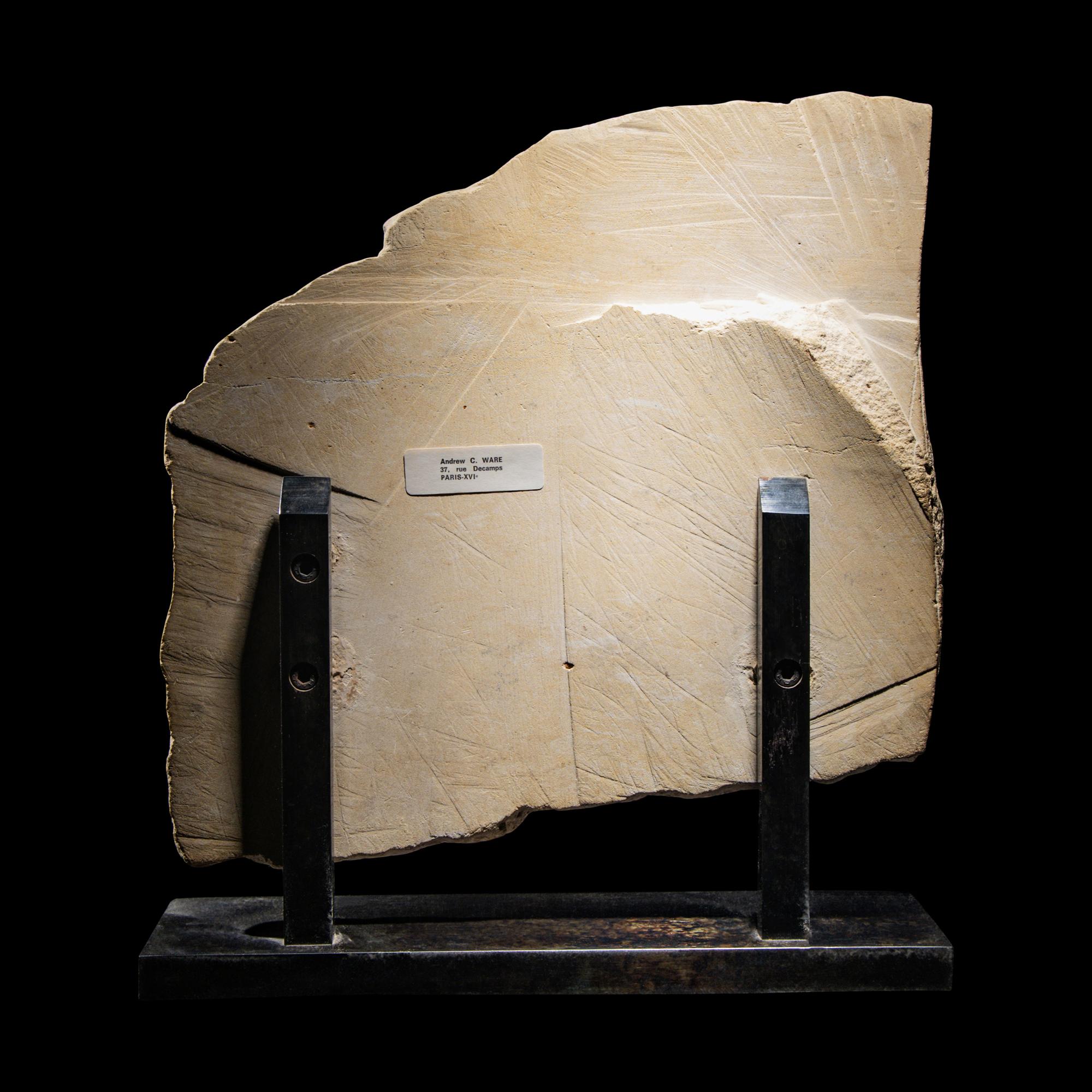 An Egyptian Limestone Relief Fragment