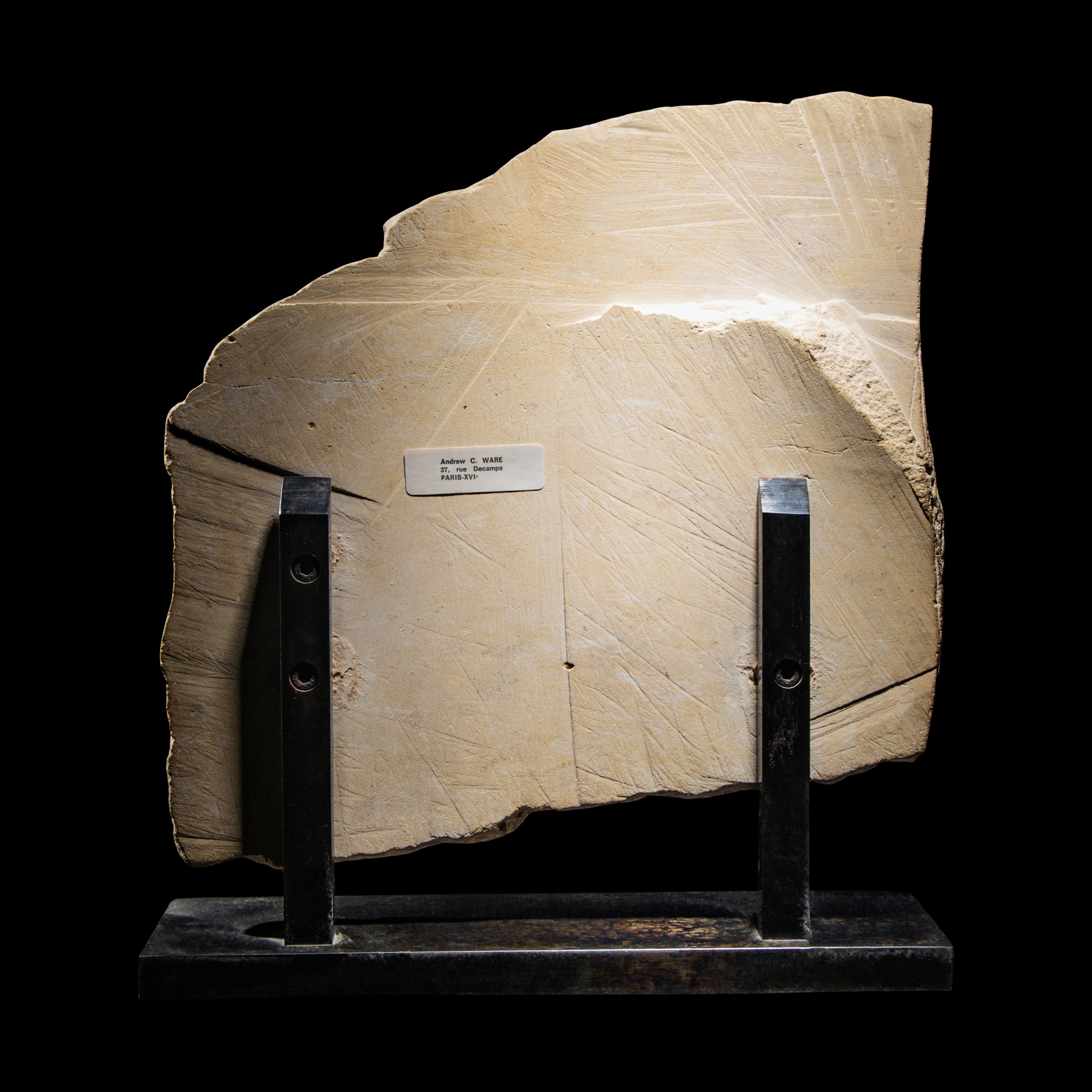An Egyptian Limestone Relief Fragment