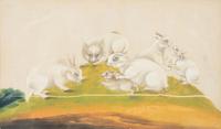 A Collection of Twelve Chinese Zoological Ink and Color Pith Paintings