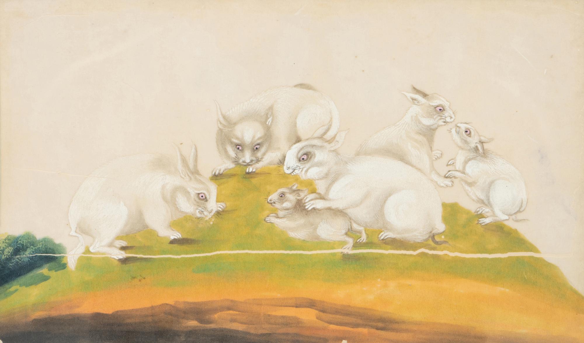A Collection of Twelve Chinese Zoological Ink and Color Pith Paintings