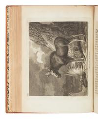 [TRAVEL & EXPLORATION]. PENNANT, Thomas (1726-1798). Arctic Zoology . London: Henry Hughs, 1784-1785.