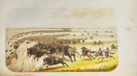 Webber, C.W. The Hunter-Naturalist. Romance of Sporting; or, Wild Scenes and Wild Hunters
