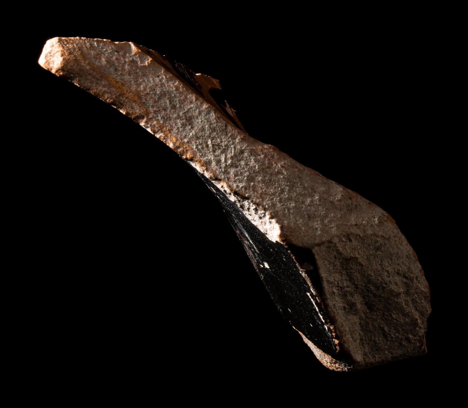 An Attic Black-Figured Fragment