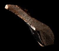 An Attic Black-Figured Fragment