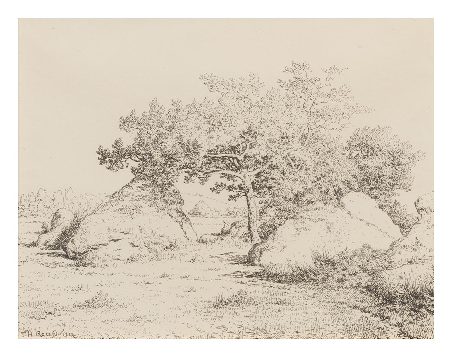 Theodore Rousseau, (French, 1812-1867), Le cerisier de la plante a Biau, 1862