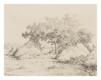 Theodore Rousseau, (French, 1812-1867), Le cerisier de la plante a Biau, 1862