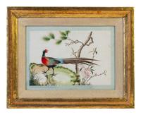 Seven Chinese Export Ornithological Scenes on Pith