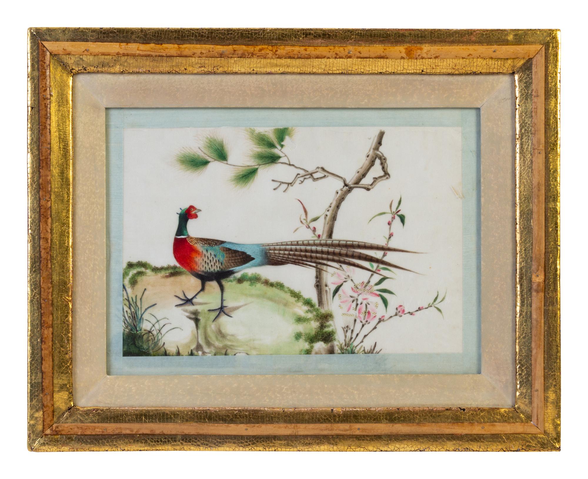 Seven Chinese Export Ornithological Scenes on Pith