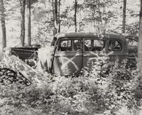 A group of fourteen photographs