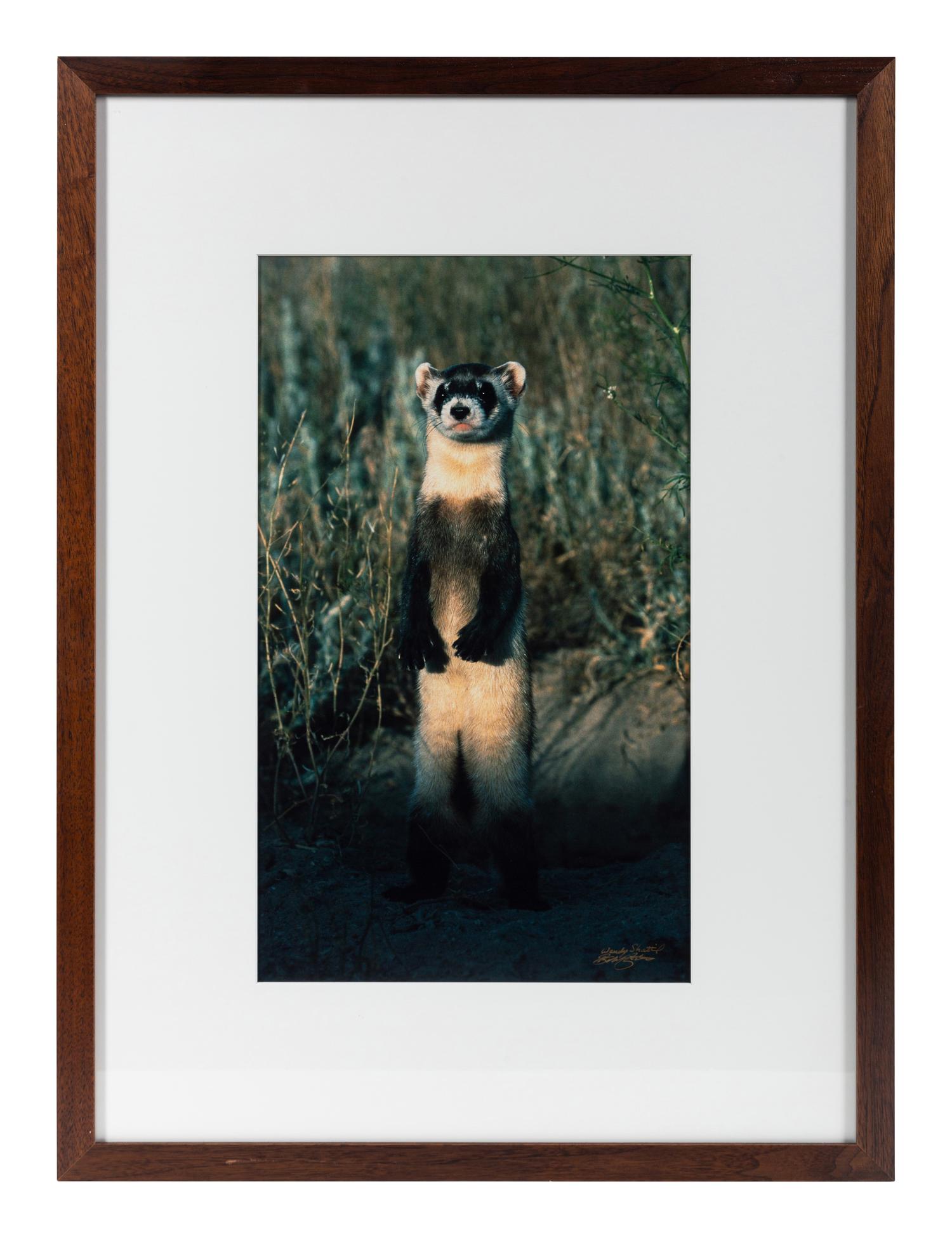 Prairie Vision: Images from a Sea of Grass (2002) Twenty Color Photographs