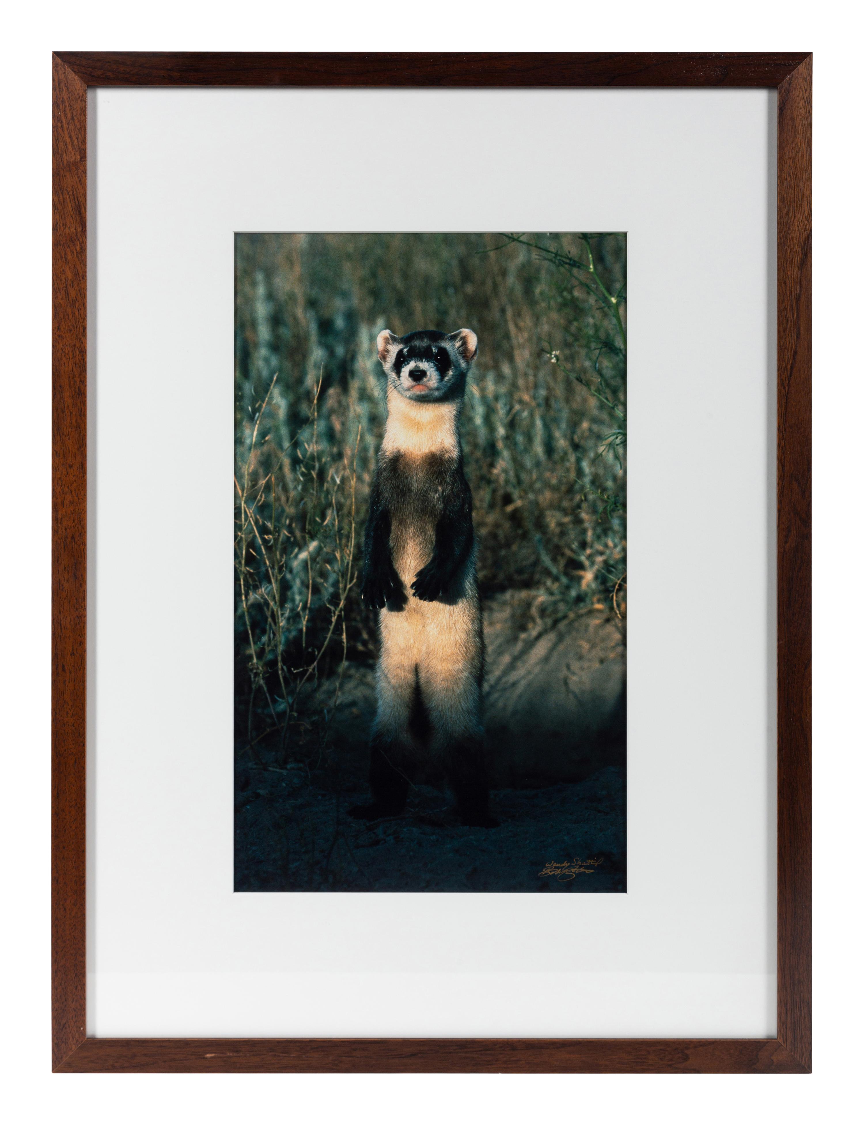 Prairie Vision: Images from a Sea of Grass (2002) Twenty Color Photographs