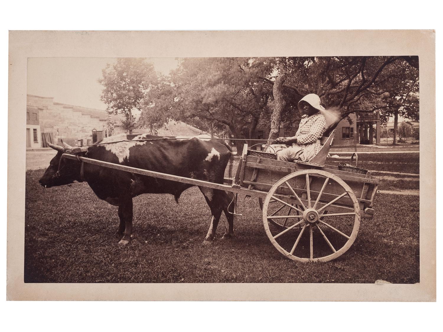 [EARLY PHOTOGRAPHY]. Outdoor portrait of an African American woman identified as Charlotte White, seated in a cart pulled by a steer. [Fortress Monroe]: N.p., [1886].