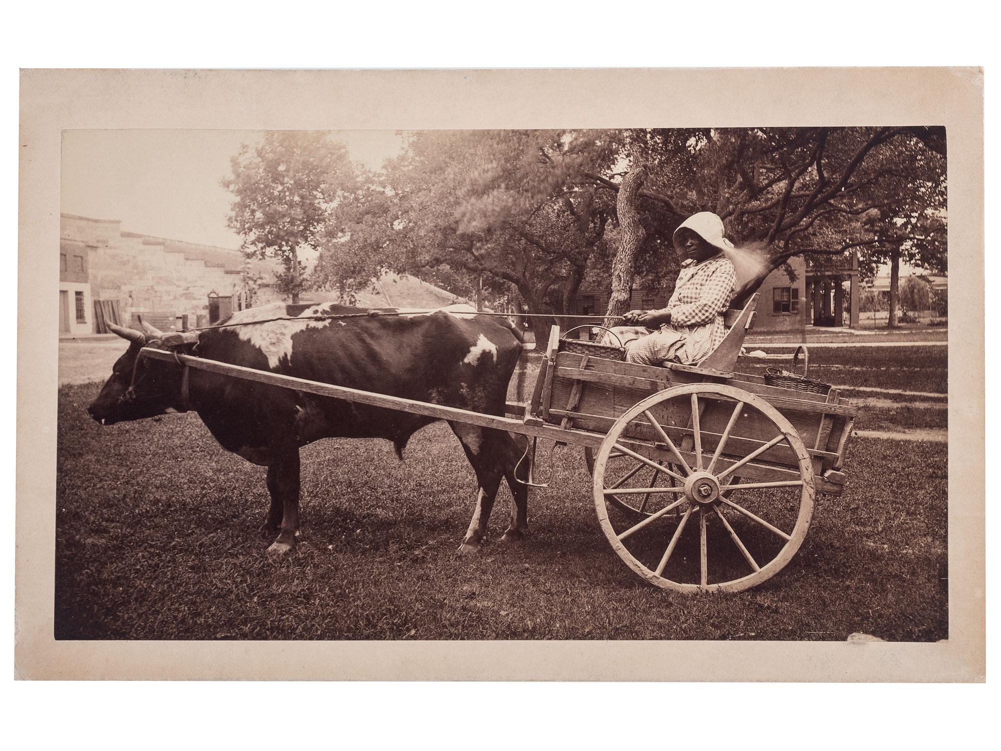 [EARLY PHOTOGRAPHY]. Outdoor portrait of an African American woman identified as Charlotte White, seated in a cart pulled by a steer. [Fortress Monroe]: N.p., [1886].