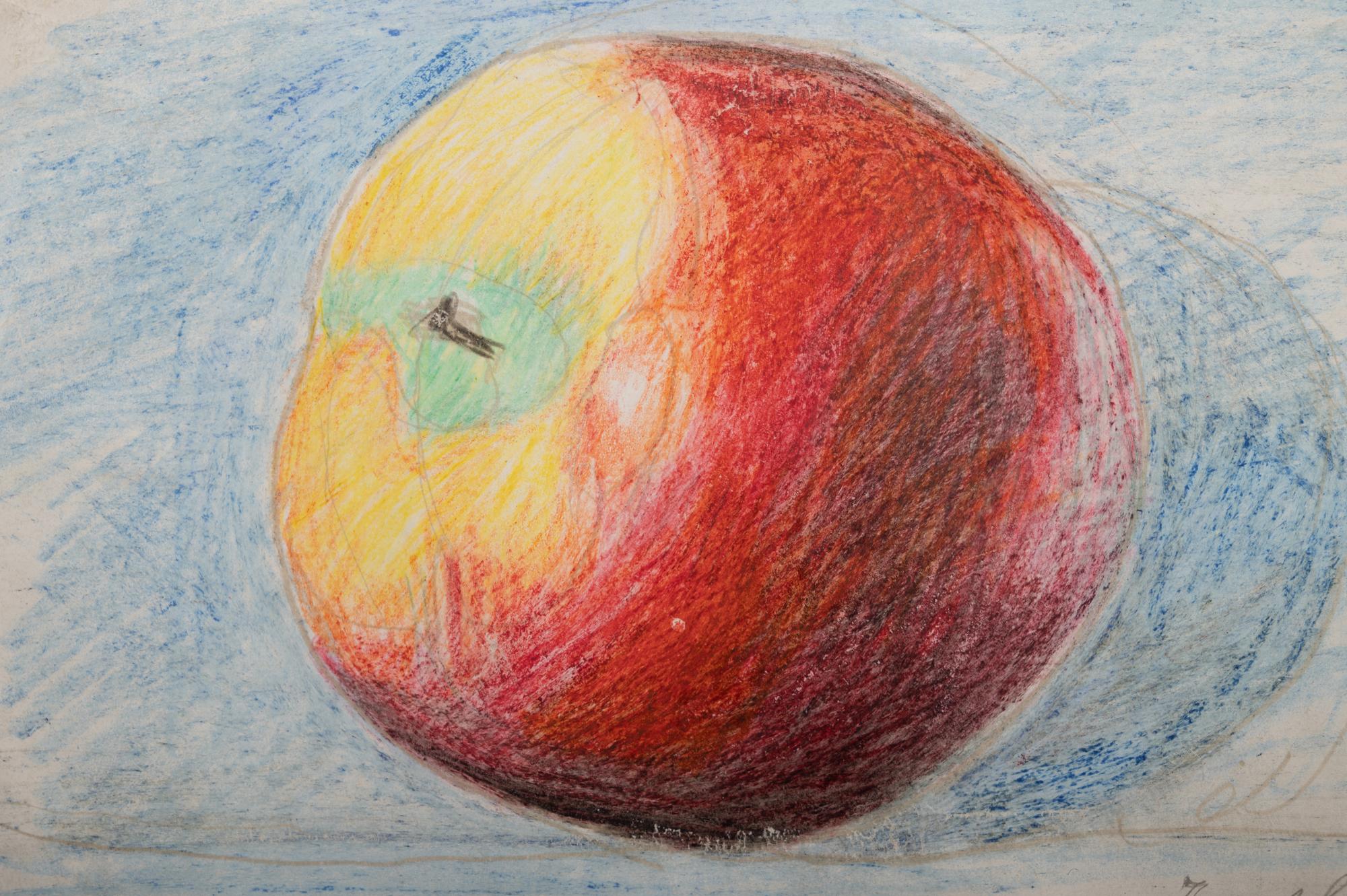 Apple , c. 1945-50