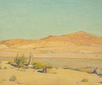 Mojave Sunlight