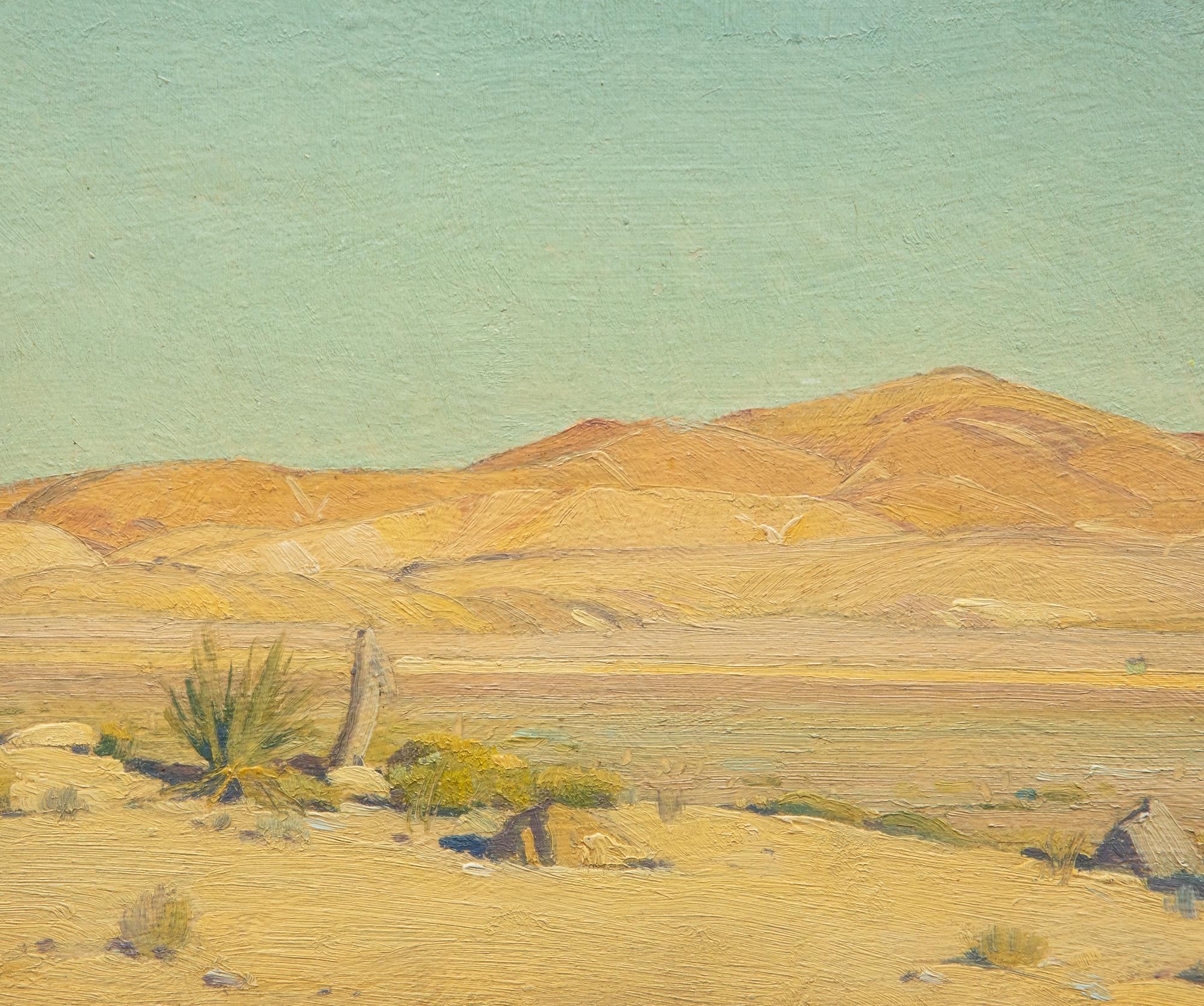 Mojave Sunlight