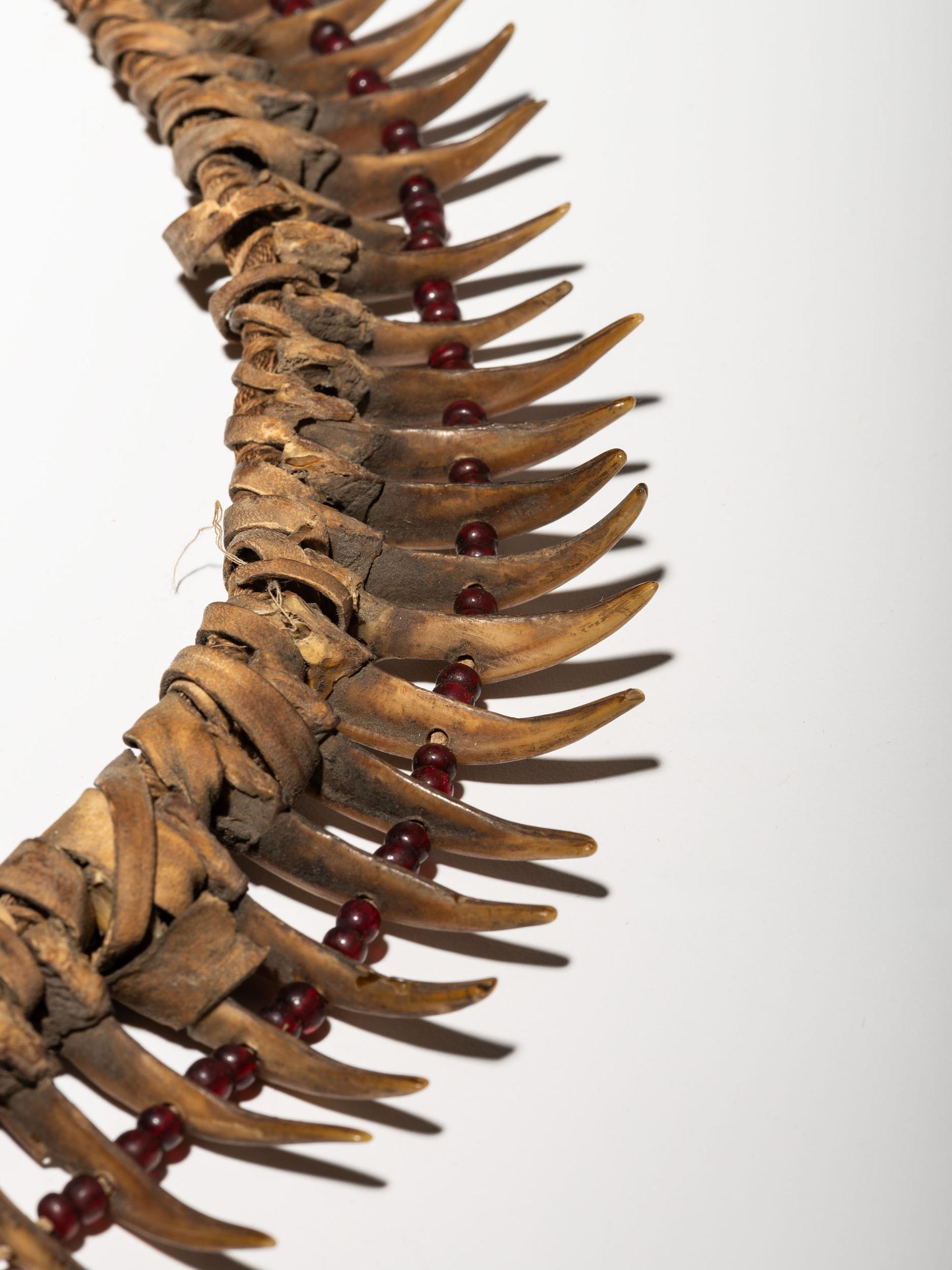 Prairie Badger Claw Necklace