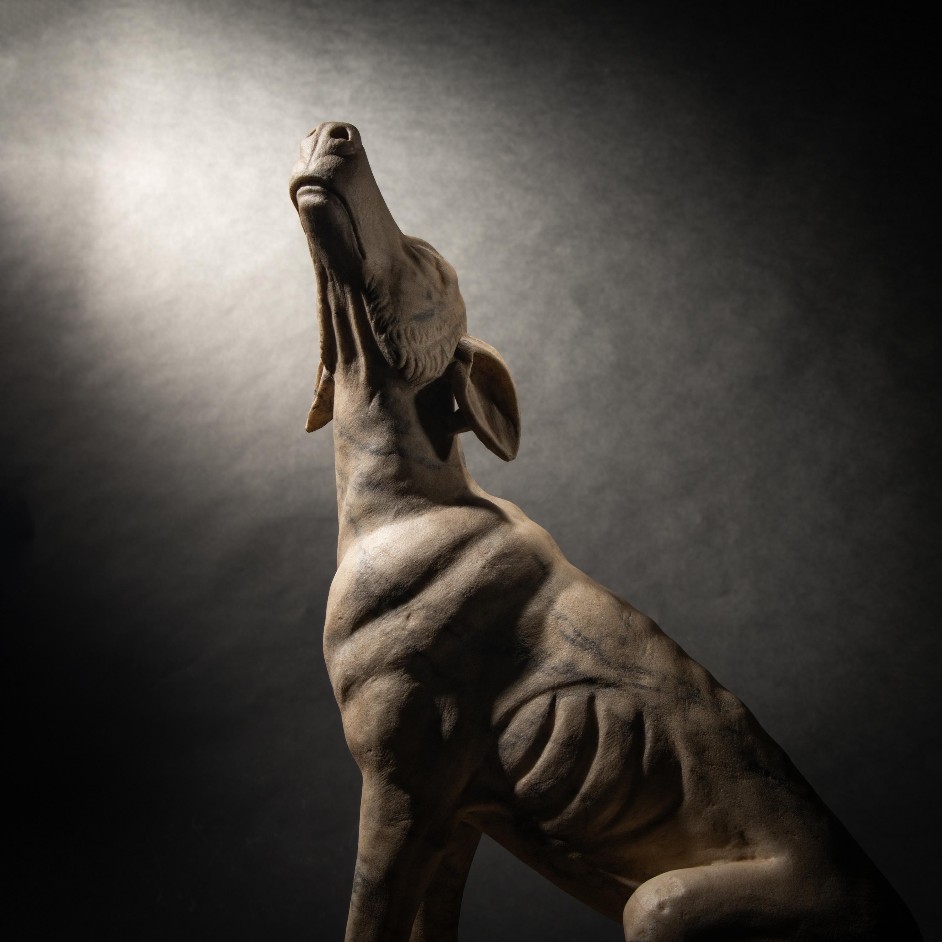 A Roman Pavonazzetto Marble Laconian Hound