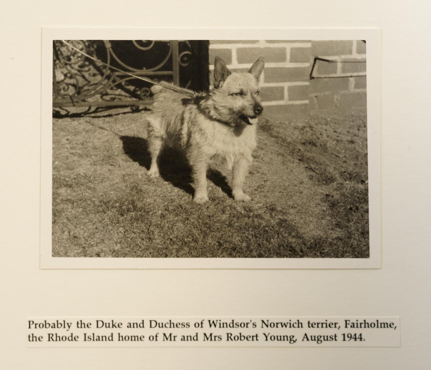 A Group of Duke and Duchess of Windsor Pug Related Items
