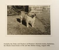 A Group of Duke and Duchess of Windsor Pug Related Items