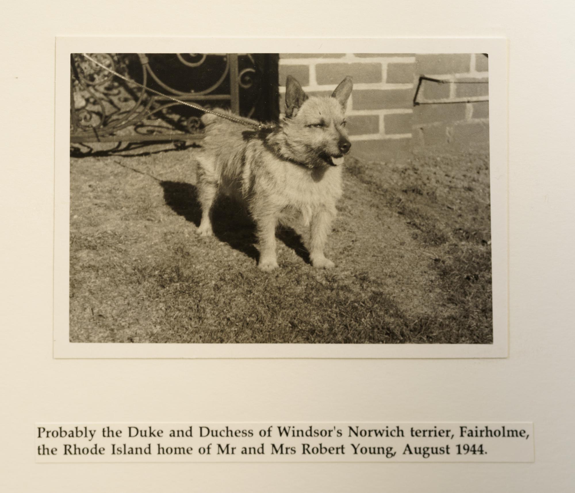A Group of Duke and Duchess of Windsor Pug Related Items