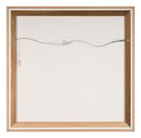 Did You ( from Rooftops with Flying Geese), 2003